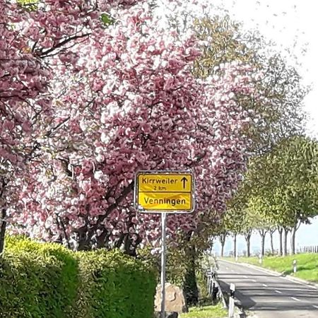 Gaestehaus Lifestyle Kirrweiler  Dış mekan fotoğraf